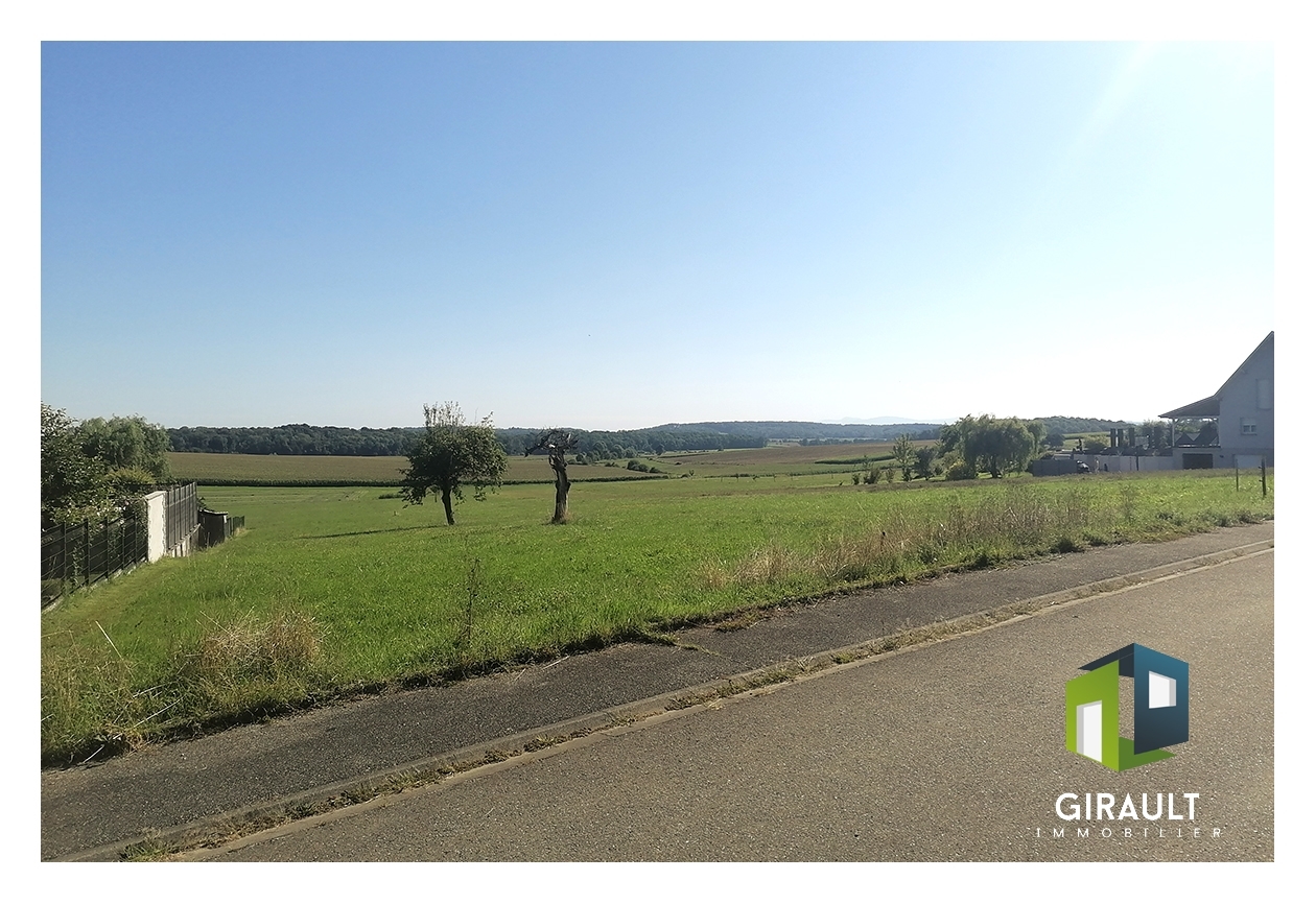 Photo n°3/6 : terrain TRAUBACH LE HAUT